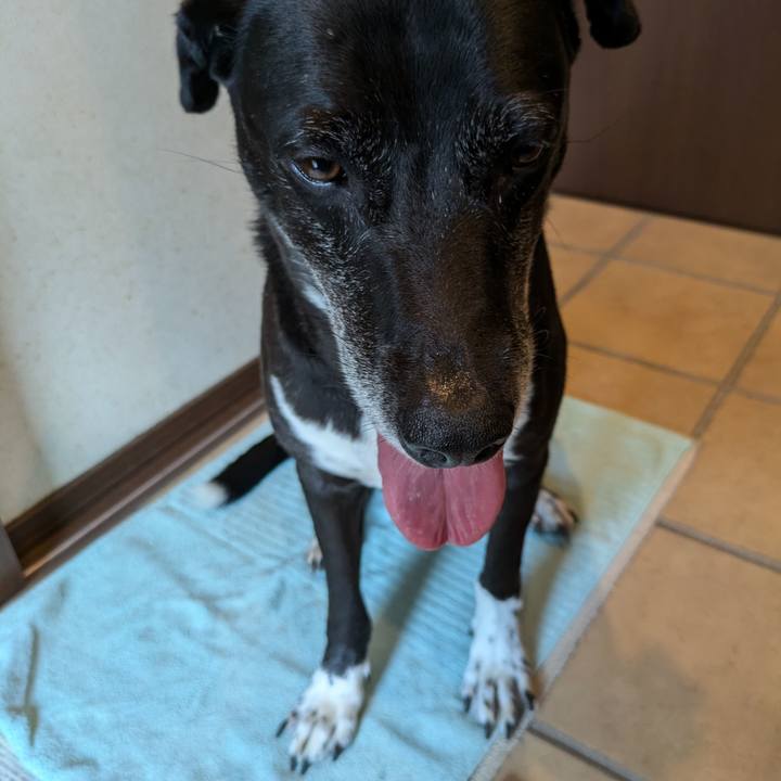 B17d3373 ad2c 4a9f bb97 5469f4c1ad2c 1726011699108