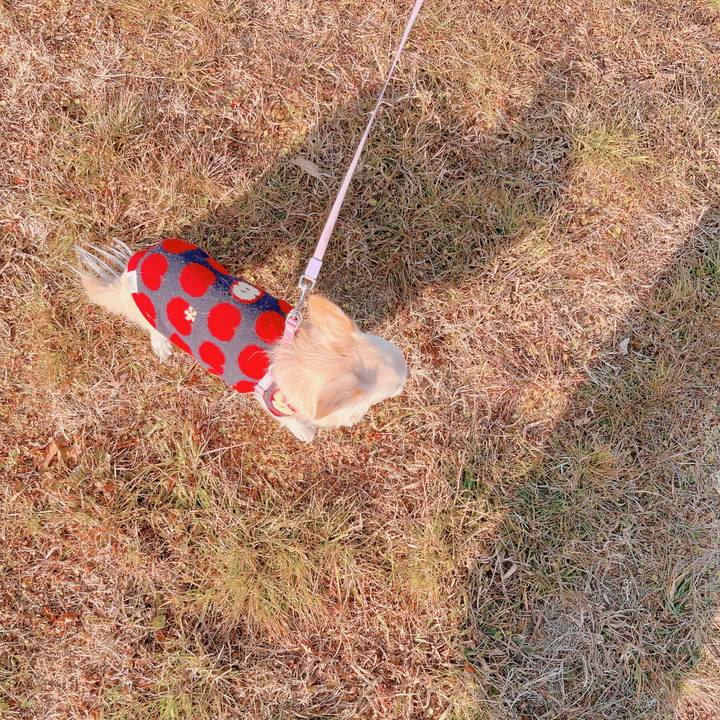 B17d52a5 9c75 499f 8904 fd3d5ce495ac 1673254713473