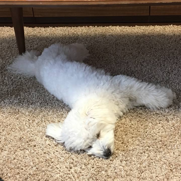 B17d6c4d 7991 4171 b9d1 970d95b85987 1511305448567