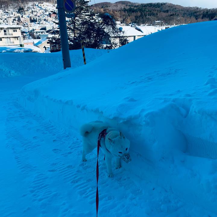 B17d9042 854e 45f1 a24f a92dbe87db6d 1610241646658