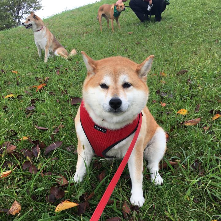 B17dd166 7148 4c33 aab2 83eb0db8bff2 1602375889440