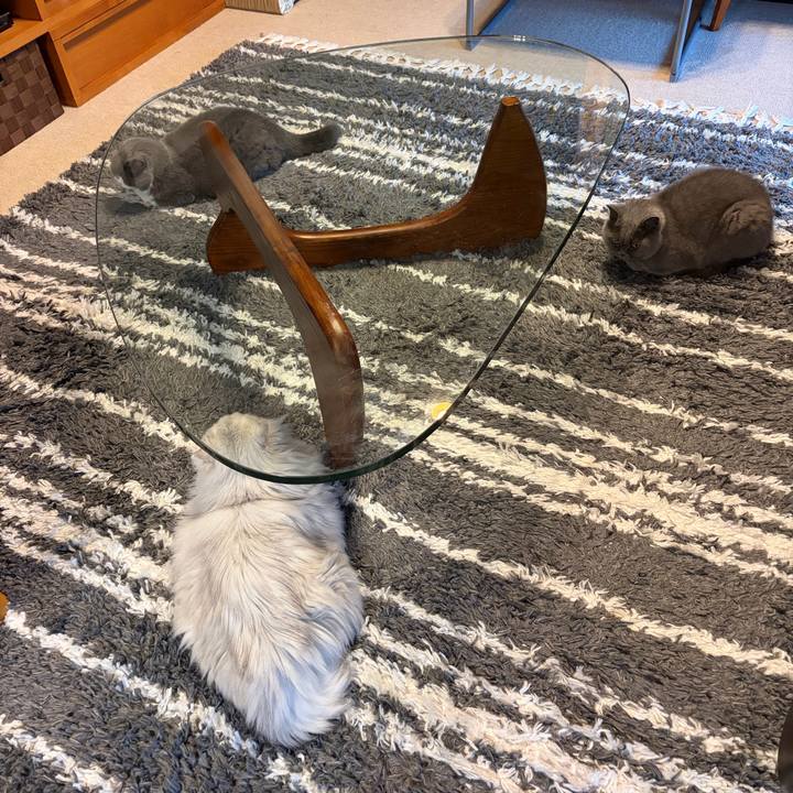 B17dd802 9c42 48cd 992f e03d835702af 1765608476397