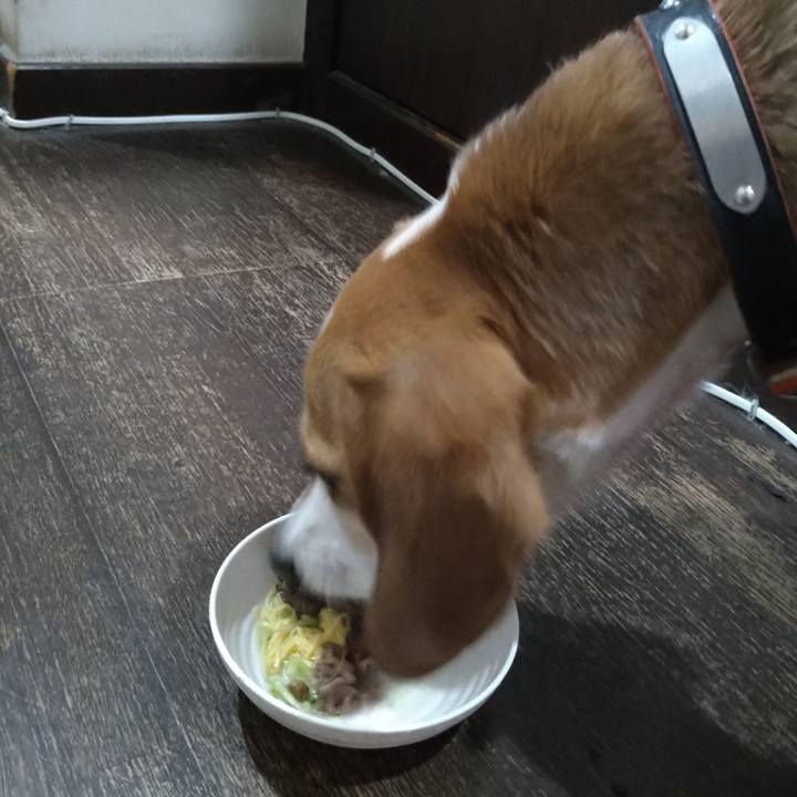 B17ddfd8 ef6d 414b b744 c465d4a96d70 1626517544196