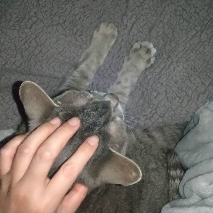 B17e04e8 aa96 4559 aefd 90fdf21817a8 1684867310580