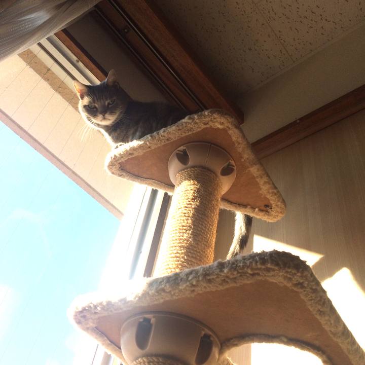 B17e37d5 0ae7 4b61 a48a 828dc3021a16 1512884446422