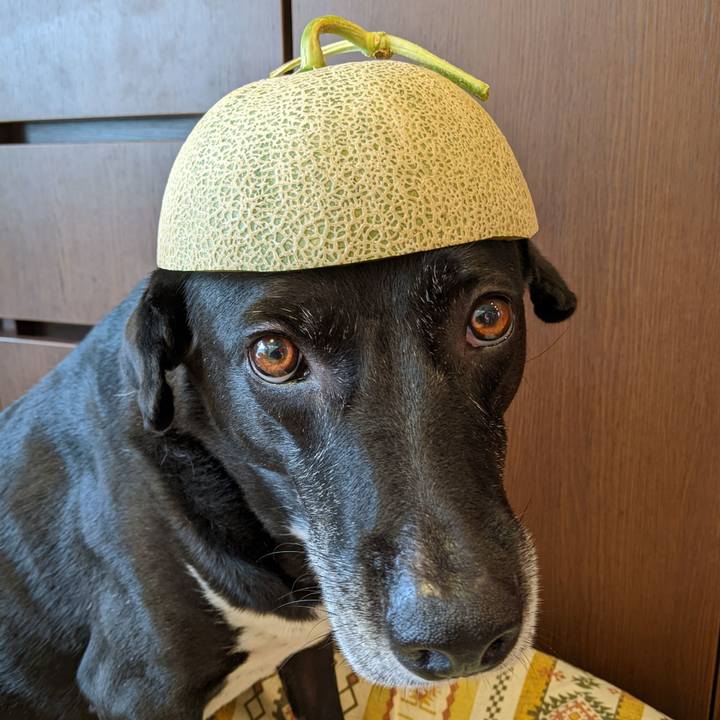 B17e51b3 f87d 41f1 b8bd 02c182fdaf52 1721693979329