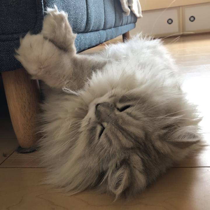 B17e9594 c416 467b b6e8 f458dad83cdd 1555288749585