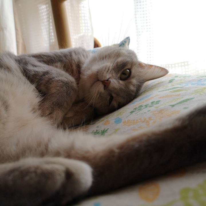 B17ee8f2 b3d8 4ec4 aebe 5b40caff4d05 1563005834701