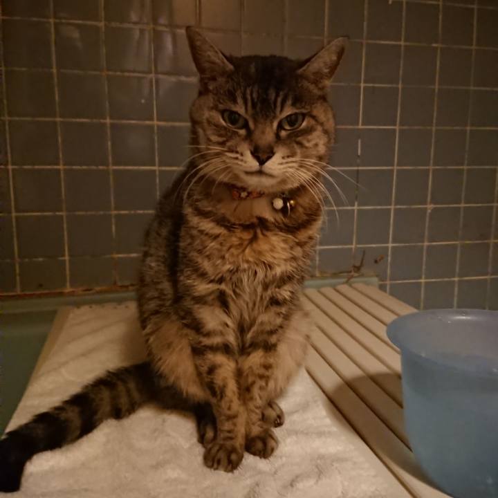 B17f0419 ce2c 4aaa 9dad 254098f7cf06 1585303583986