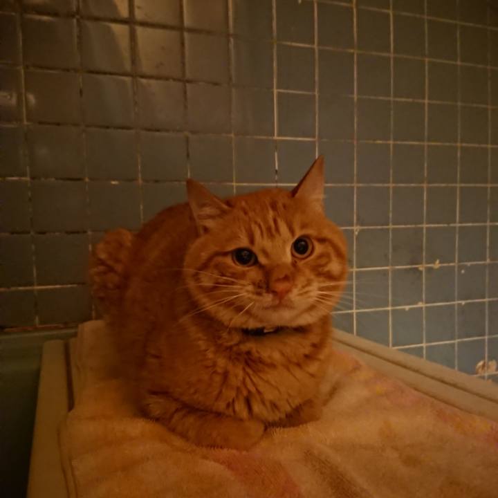 B17f5cb2 8377 4265 b07c 581cfe9e5ec2 1653993869647