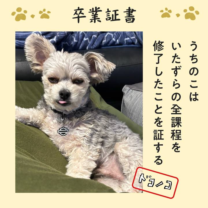 B17fc1d4 4aaf 48e7 9269 ffc5f8d93294 1772096609835