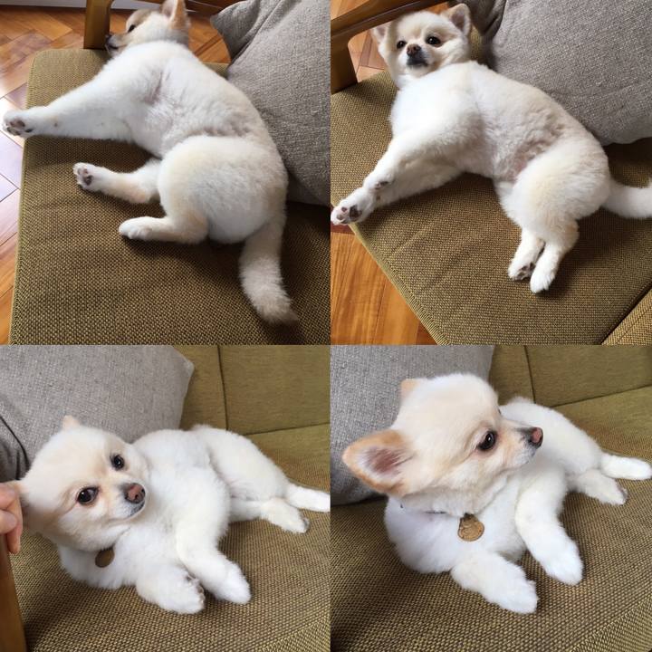 B17fef01 79d0 4faf a6be 9044f7940c45 1599382556345