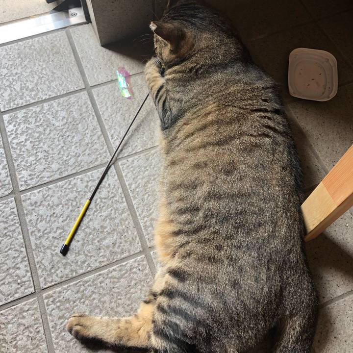 B17ff07c e1c1 4abc b974 431751dff003 1535430519417