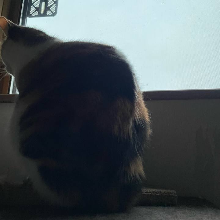 B1801a1b 8ffa 4a8b a4b8 a244fd34b89a 1741009082568