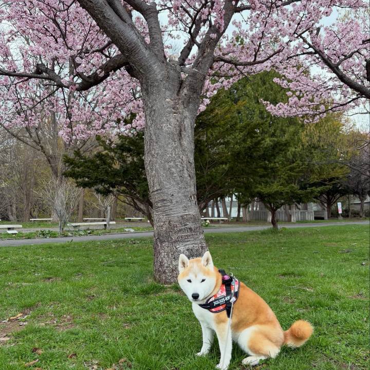 B180251f 7543 4d6e add7 e30022ddbfef 1776935149880