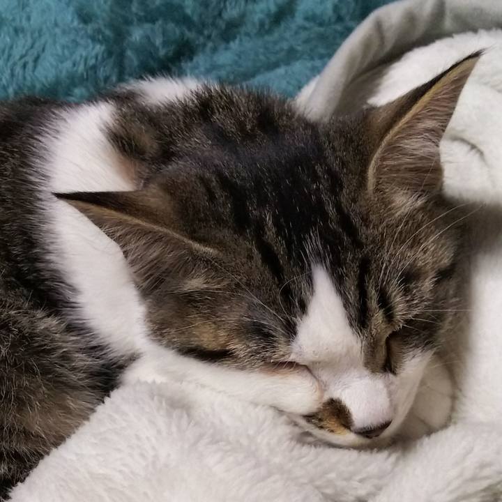 B1802b50 0809 41bf a898 0766b58ed038 1613045917442