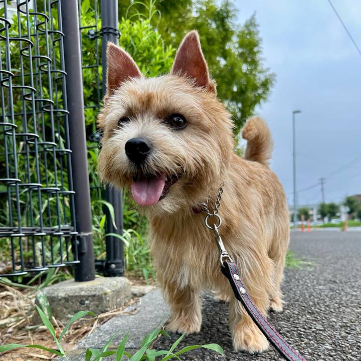 B18053d8 8faa 4a9a b3df 9a0feb1afcf5 1756081281102