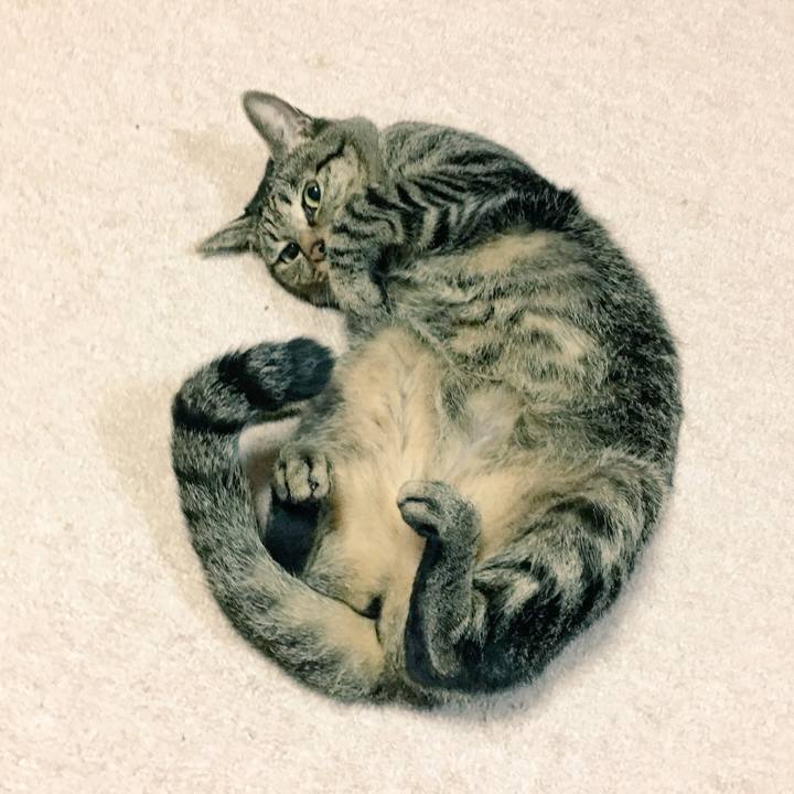 B1806617 abe6 4c4a a96f 1665294b19d6 1539693483006