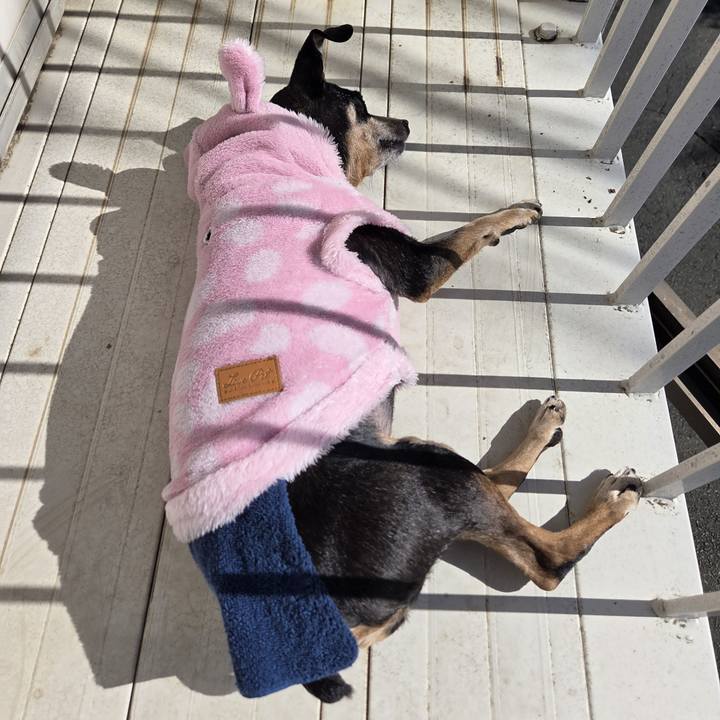 B1807b03 f941 4caf 94b9 3005b38ee110 1772686439273