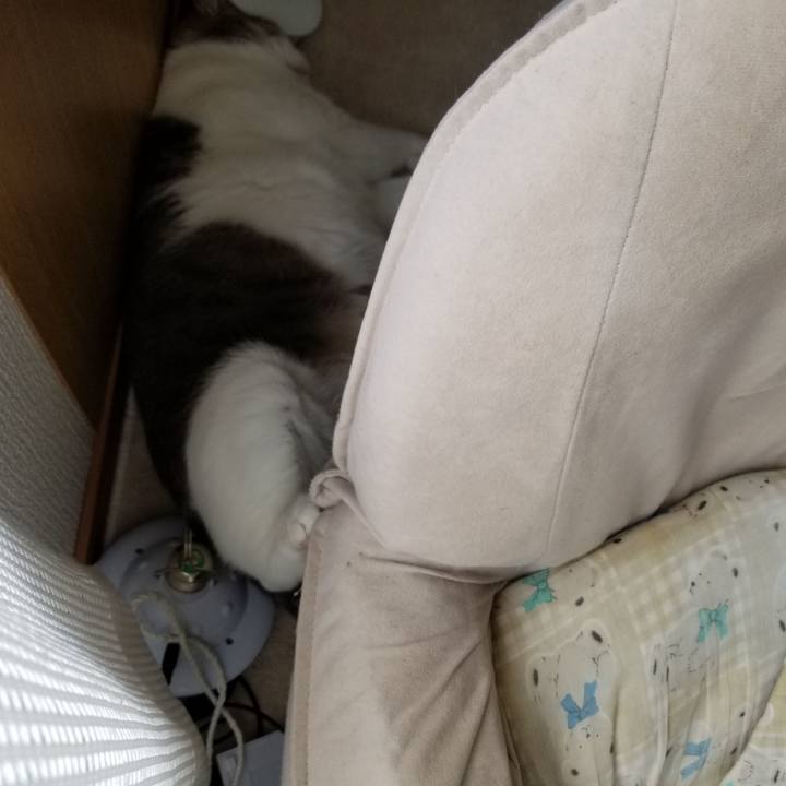 B1807ead 61a7 457f a88d eeb2209728c3 1653053335263