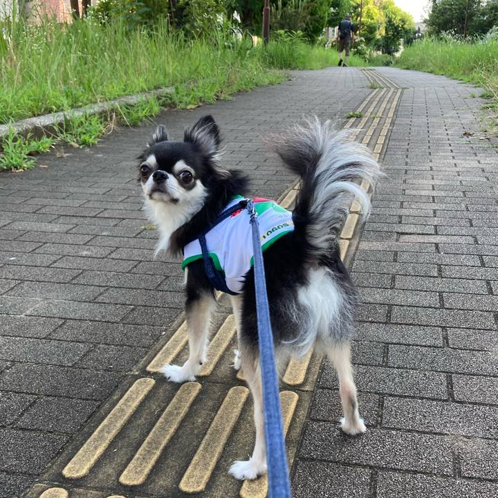 B18095e5 2aa9 4b93 89b5 77abbf461f8c 1689174500790