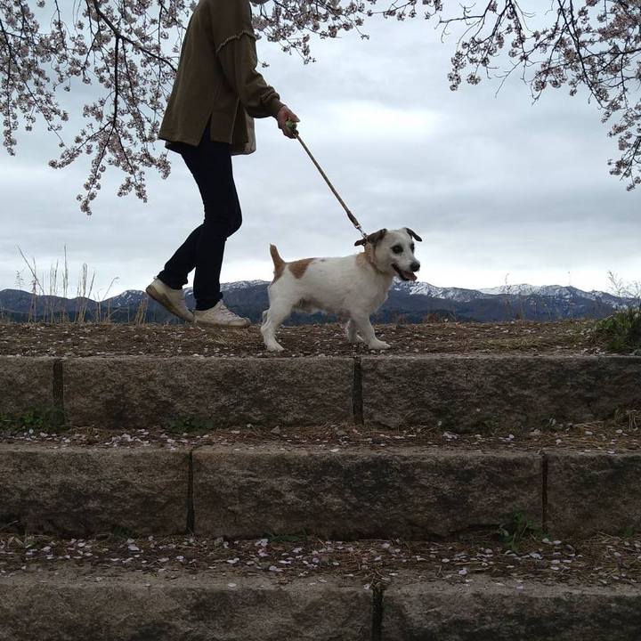 B180d24d 70fc 4c6c 983b 3dd19a1c3328 1681278649372