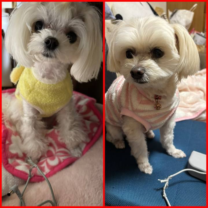 B1811d62 64b7 4cb5 9913 ff27b1ad3f46 1737452909975