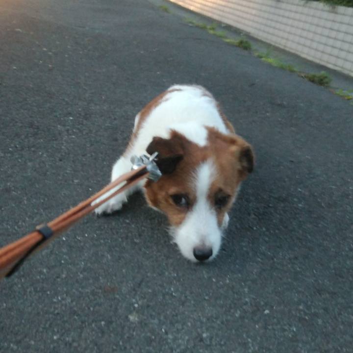 B18131fc af92 4cf2 8114 ba318b786f96 1530270009429