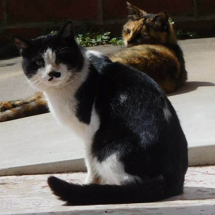 B1817860 04fc 466b 8144 78dcbd0928de 1772418614140