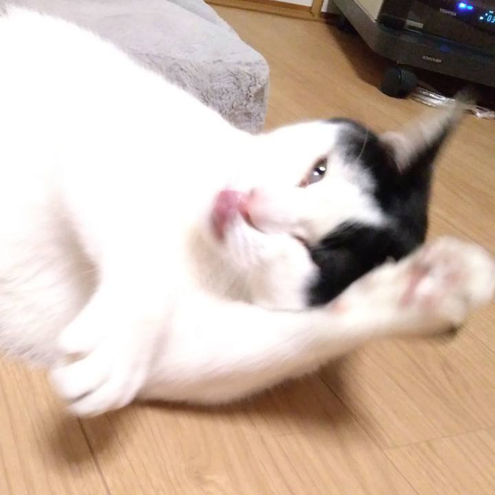 B181b1e6 84de 45e0 8e8e 323e792cfe95 1523877939661