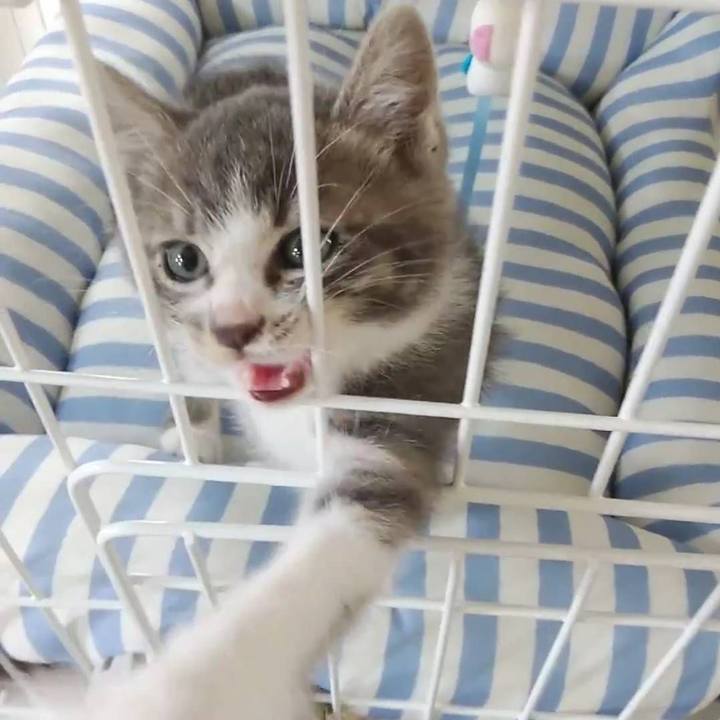 B181ee35 7518 4ac6 83dc e0ba7ca08c1c 1654685526635