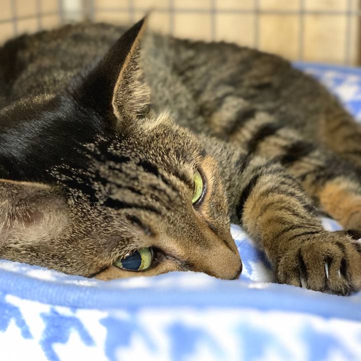 B182a704 f2e2 46cb b654 8fb0b209df01 1598232507024