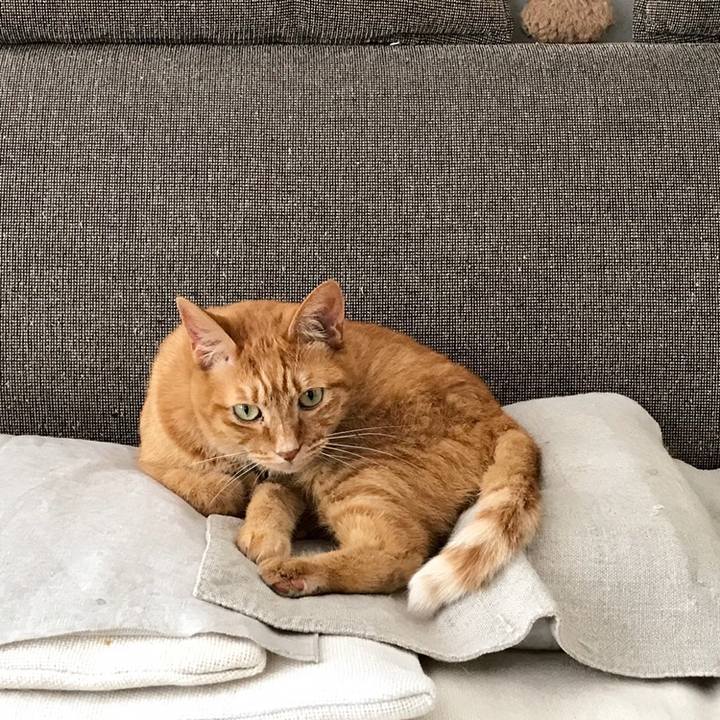 B182d9c5 94fd 48f6 8e84 5eca736f0469 1559524587508