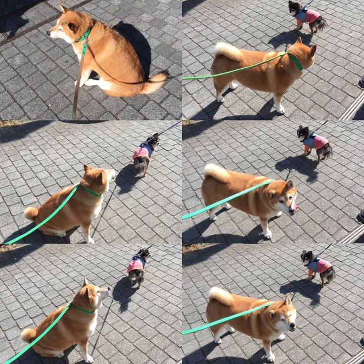 B1831f1d 7b73 4b1e 85db e761792f67d7 1645441112816