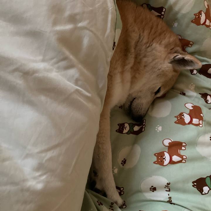 B1835d98 3530 4068 b398 a04eb453ad8a 1634634227930