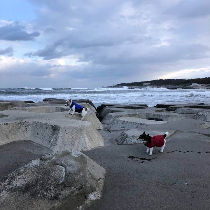 B1835e59 bb82 4f9c a5cf 60812e1391a1 1549067446948