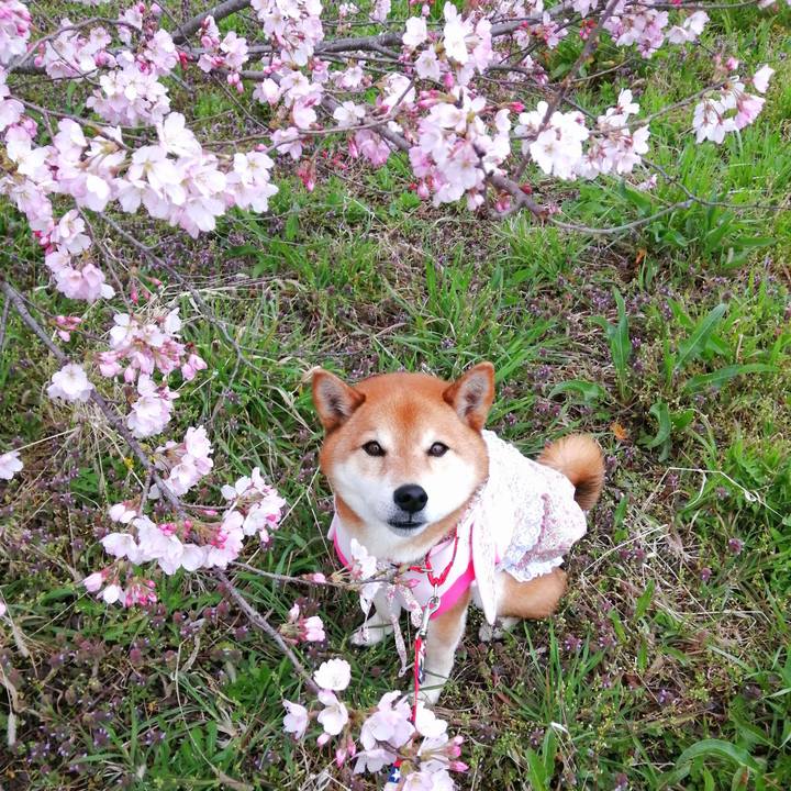 B1836197 307c 4497 8ec9 cdf87ce03547 1648554029779