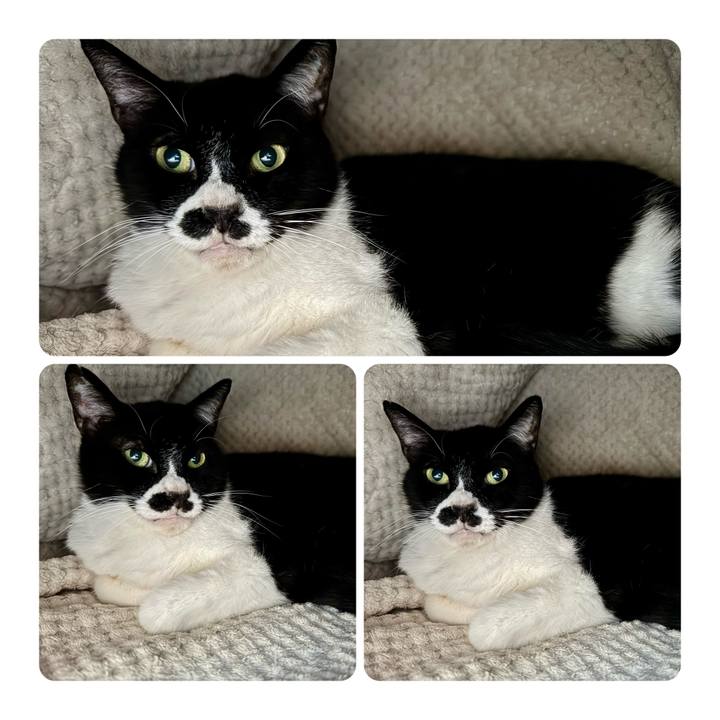 B1838df0 02b9 4516 b37b d77d6b5de1e8 1745723727789