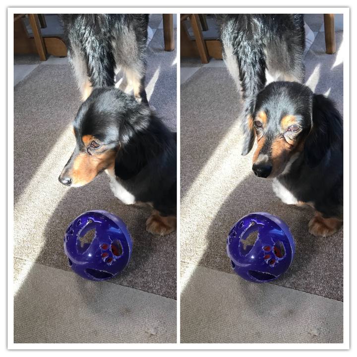 B183a84d c30f 4c99 b1e3 b6cc597cb4df 1517700864135