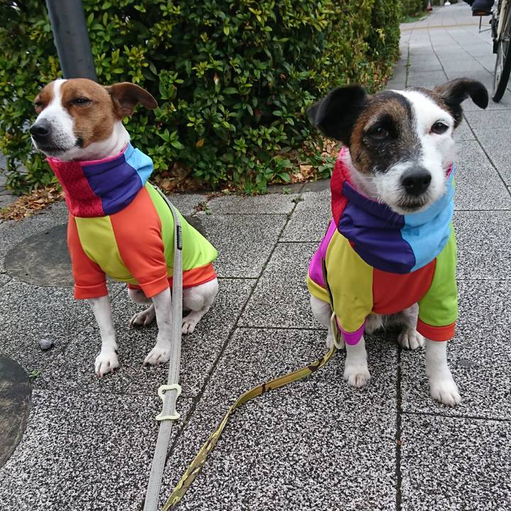 B183d5bc e08a 489c ace9 9bf79bc10d43 1613344921043