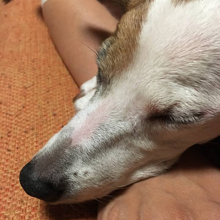 B183de89 5e98 4908 841c f557b46c0d5d 1540625130075