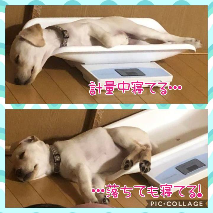 B183f29f 1599 446c a341 8e62cacab154 1596541530207