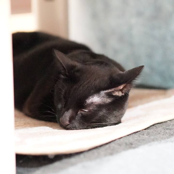 B183f5ac 862c 4ddc ba20 51652ceea170 1552261901346