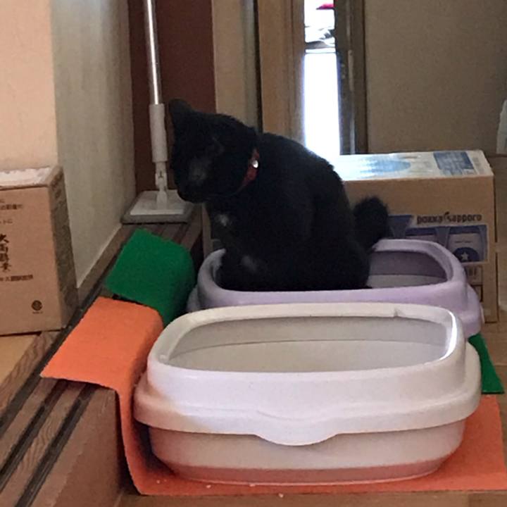 B184370d 024c 42fb 8453 a00d3768564b 1555569426361