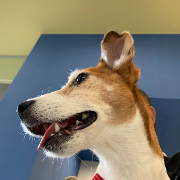 B1845c89 92e8 4a0e 8afa d816c8e09cad 1561564662459