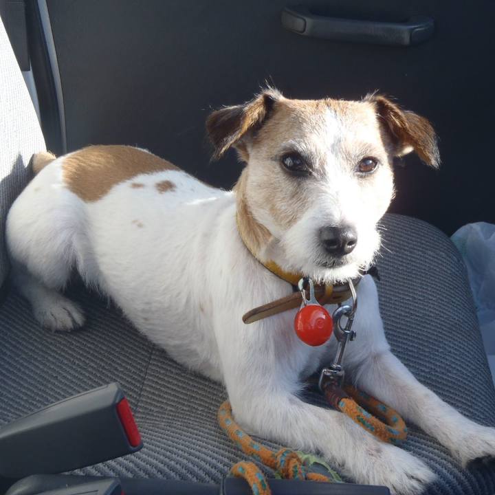 B184654f 186a 4f80 bedd f670d8aa4029 1510311127099