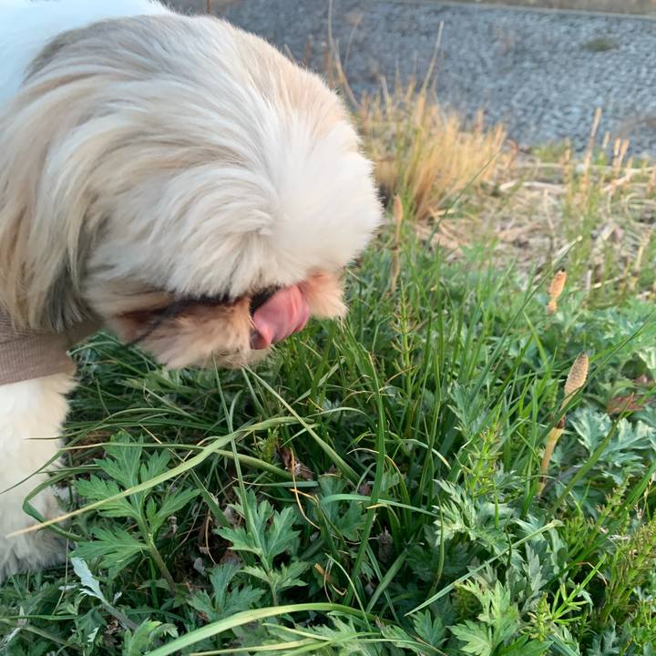 B18469f4 a64e 4280 b508 168c85f48fc9 1647086114532