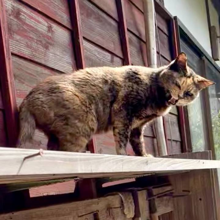 B18487b3 8e51 4efa 9939 f8c345881dc6 1744787527390