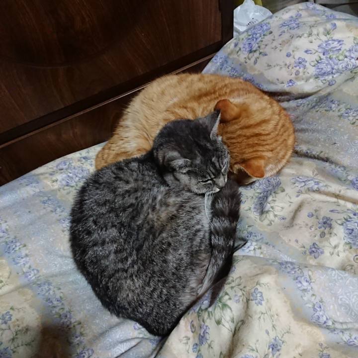 B184a491 4bc4 402e af0e b378b4685752 1579521639239