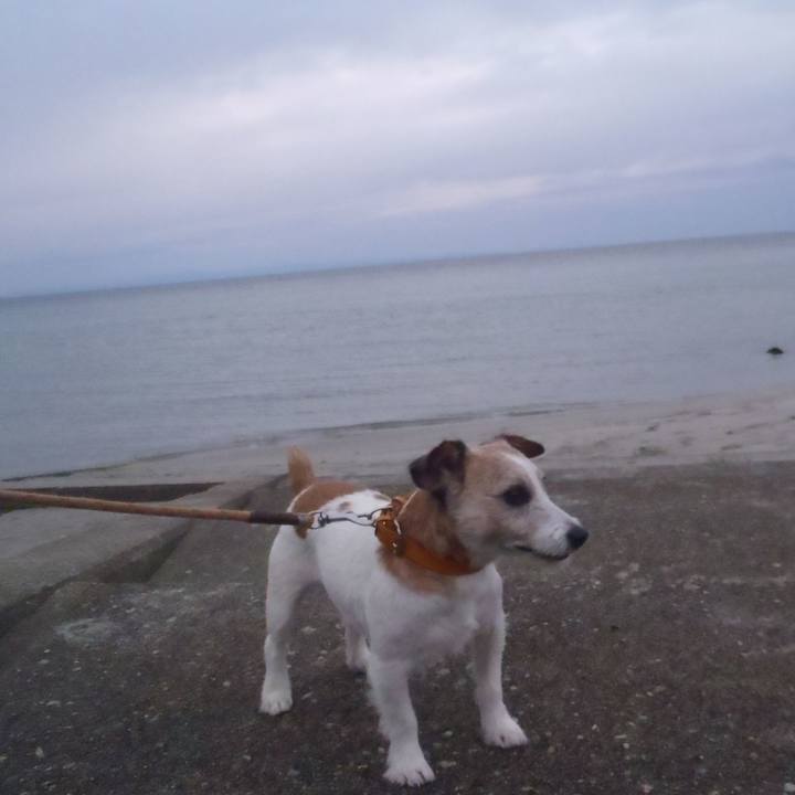 B184f7b8 72ed 48eb 804b 56bbbfa2d794 1541410396532